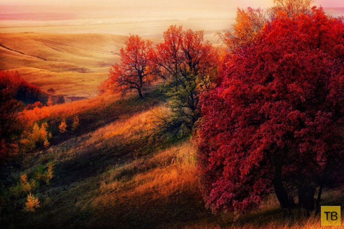 ��������� ����� � ������ ������� ������� (20 ����)