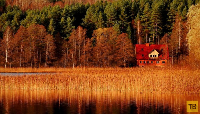 ��������� ����� � ������ ������� ������� (20 ����)