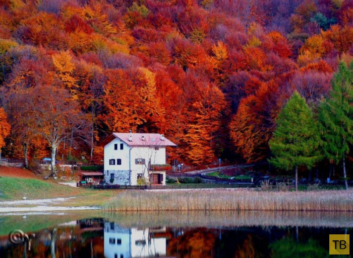 ��������� ����� � ������ ������� ������� (20 ����)