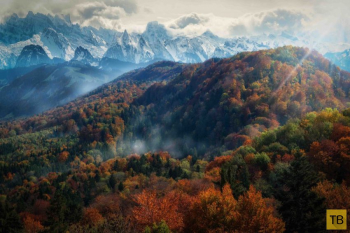 ��������� ����� � ������ ������� ������� (20 ����)