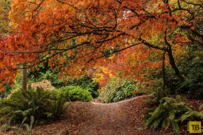 ��������� ����� � ������ ������� ������� (20 ����)