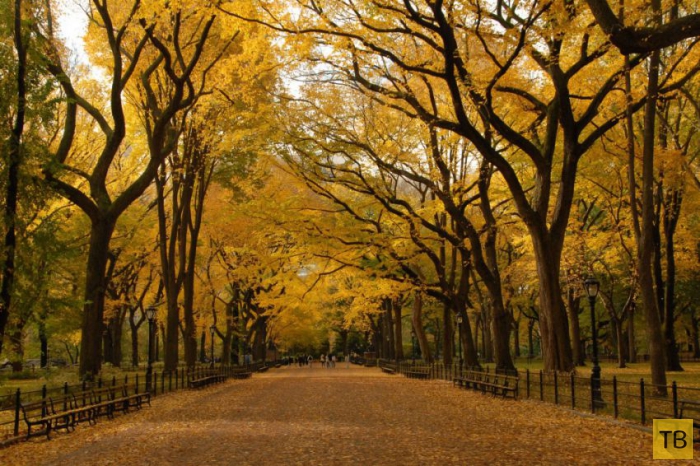 ��������� ����� � ������ ������� ������� (20 ����)