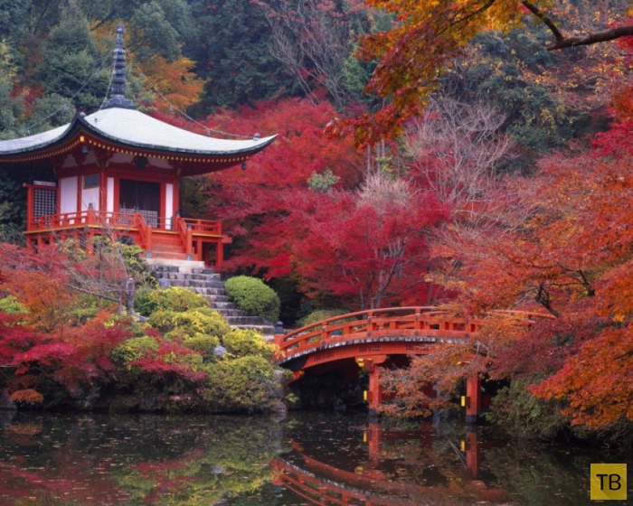 ��������� ����� � ������ ������� ������� (20 ����)