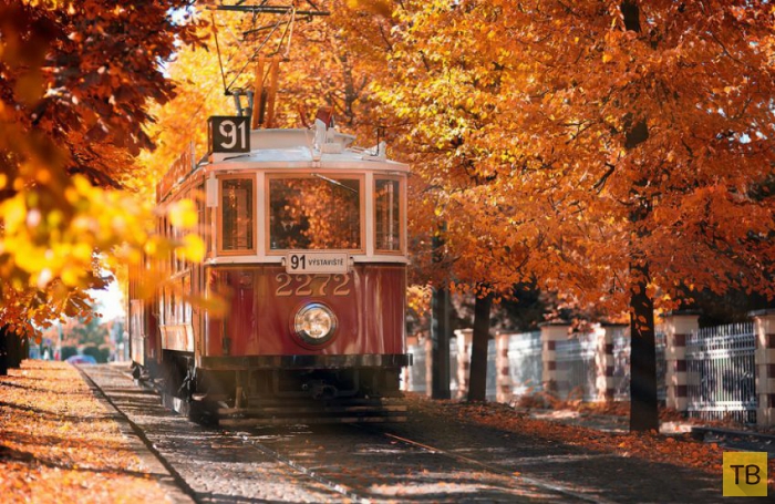 ��������� ����� � ������ ������� ������� (20 ����)