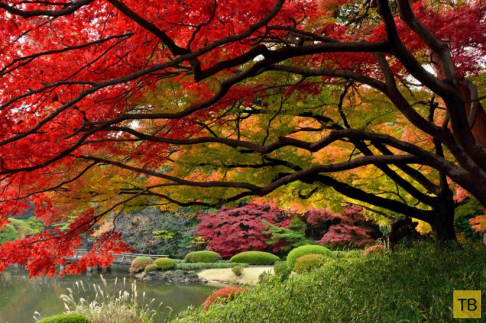 ��������� ����� � ������ ������� ������� (20 ����)