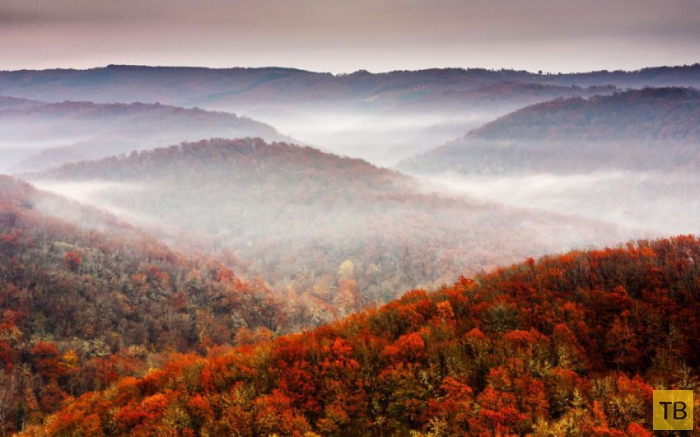 ��������� ����� � ������ ������� ������� (20 ����)