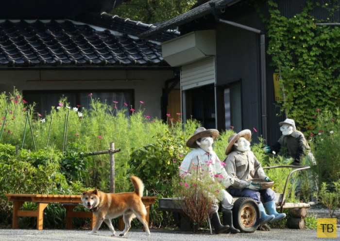 Окухарима - деревня пугал в Японии (20 фото)