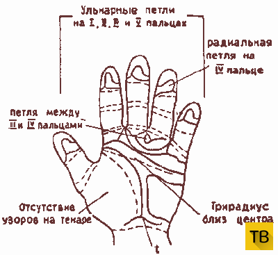 Узоры на пальцах (5 фото)