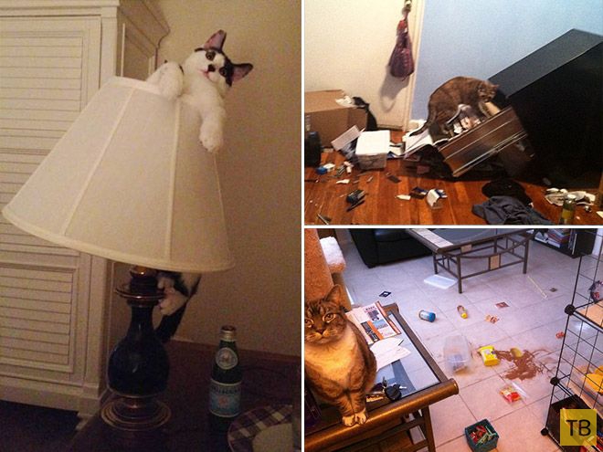 �������� ��������� - ������ (16 ����)