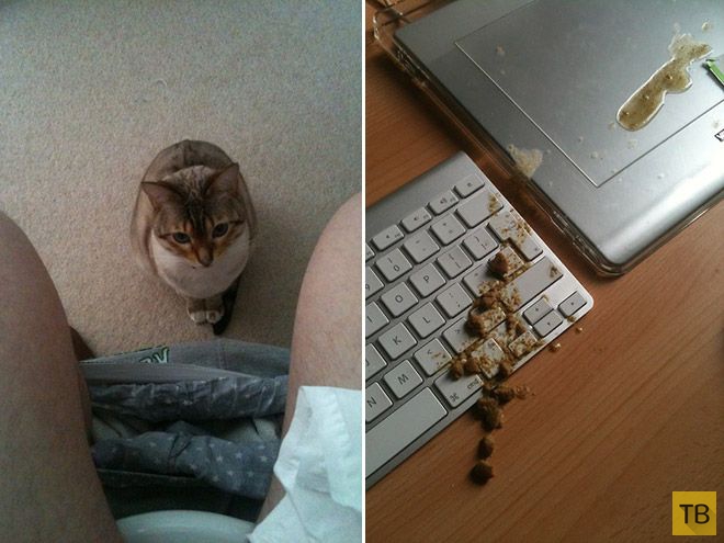 �������� ��������� - ������ (16 ����)