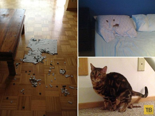 �������� ��������� - ������ (16 ����)