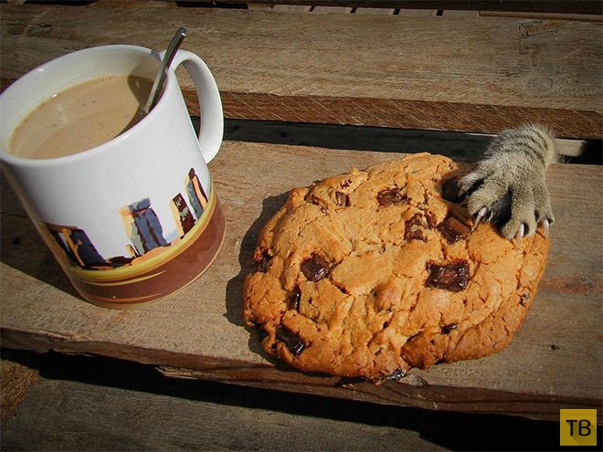 �������� ��������� - ������ (16 ����)