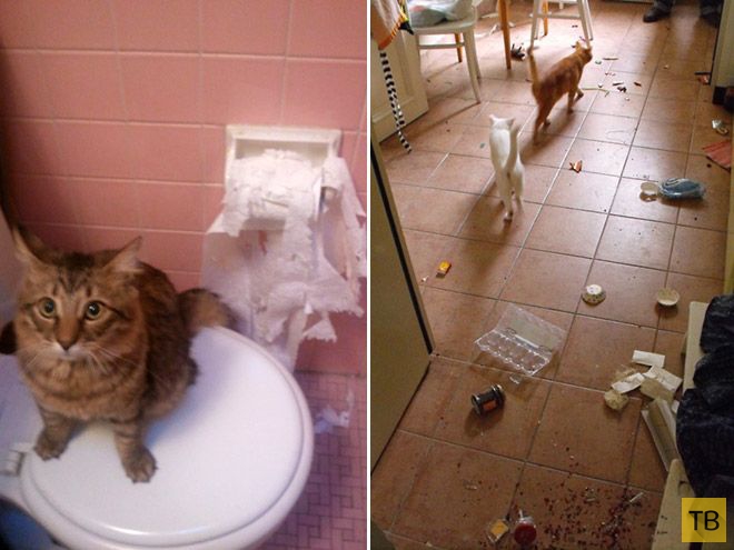 �������� ��������� - ������ (16 ����)