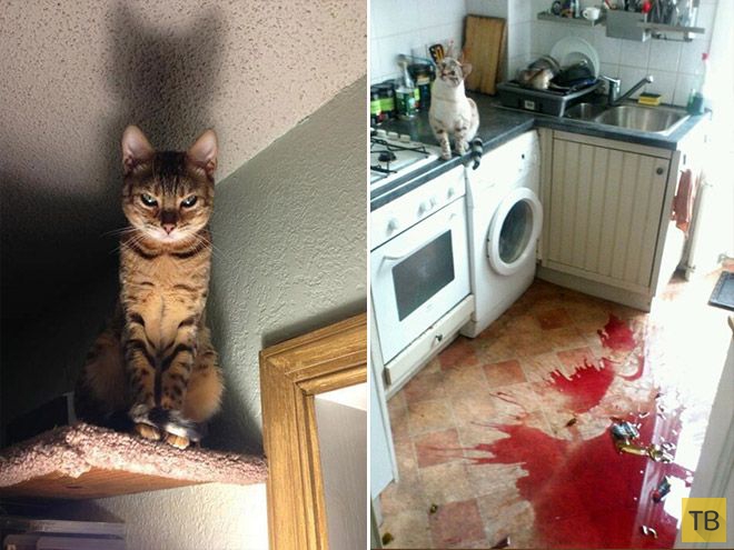 �������� ��������� - ������ (16 ����)