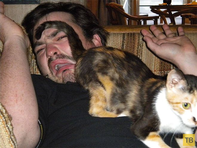 �������� ��������� - ������ (16 ����)