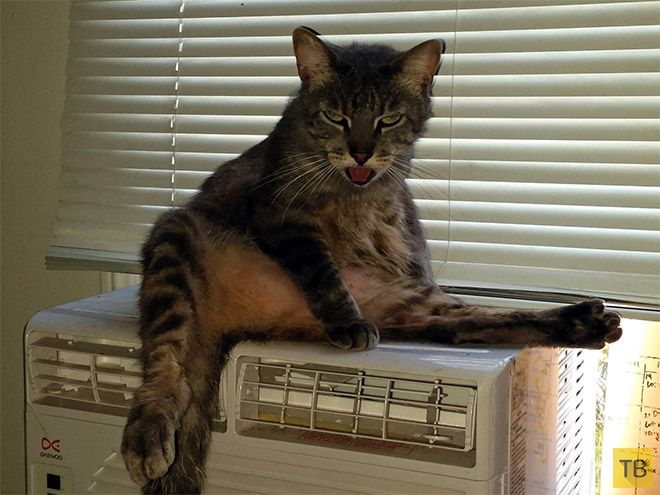 �������� ��������� - ������ (16 ����)