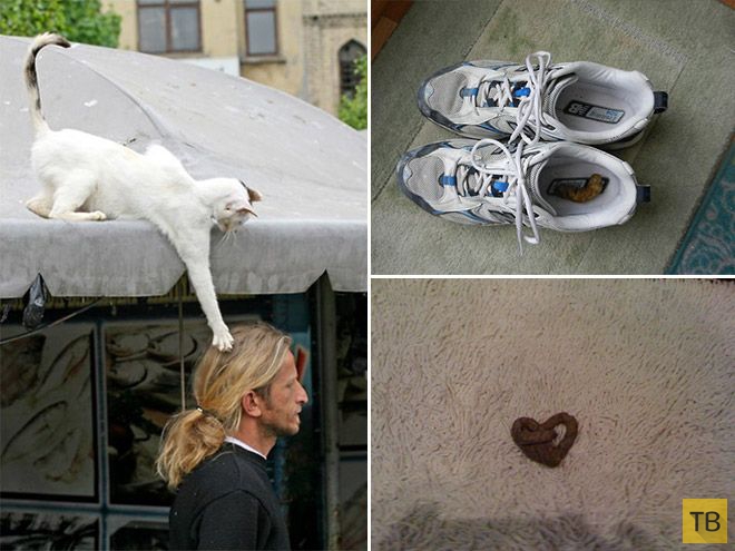 �������� ��������� - ������ (16 ����)