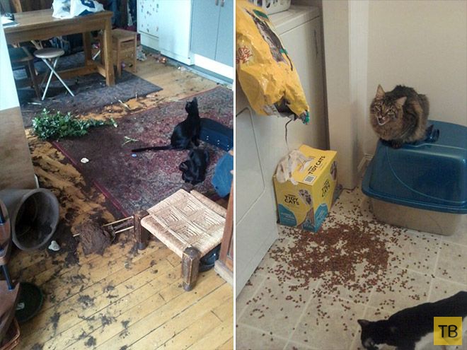 �������� ��������� - ������ (16 ����)