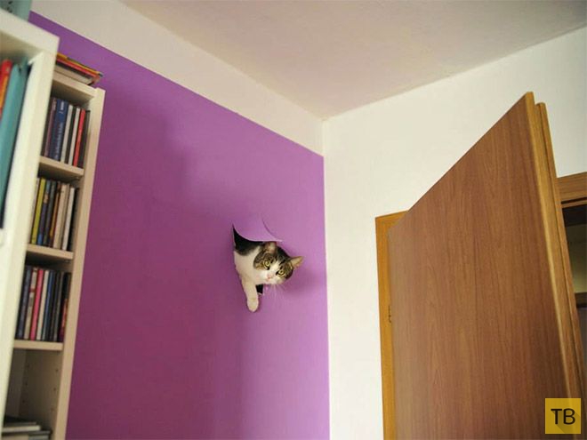 �������� ��������� - ������ (16 ����)