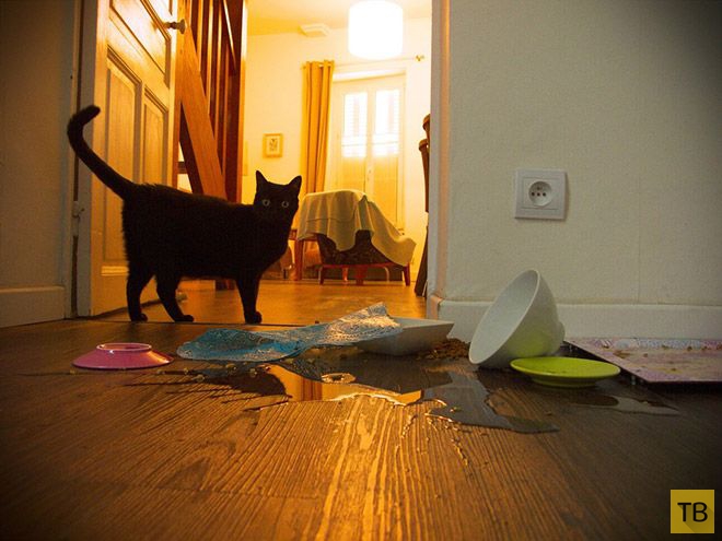 �������� ��������� - ������ (16 ����)