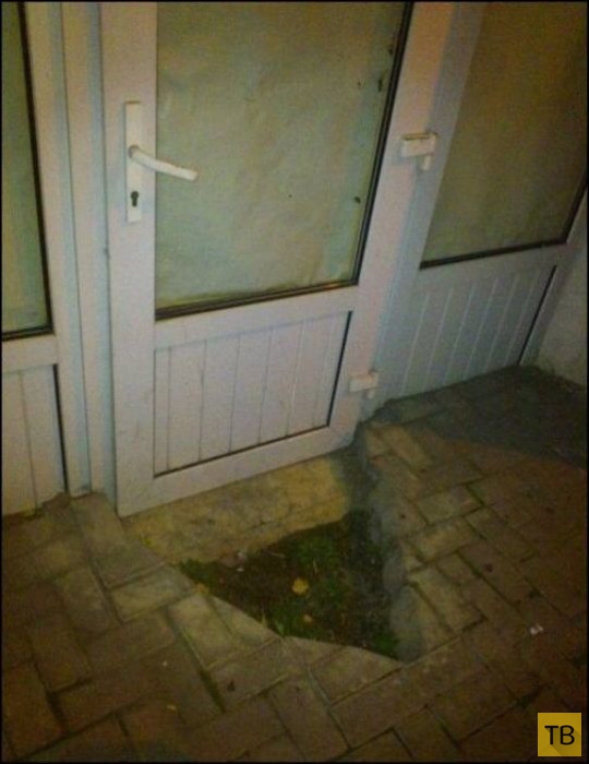 ������������ ������� (48 ����)