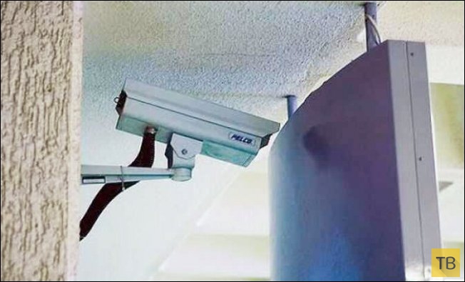 ������������ ������� (48 ����)