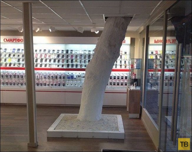 ������������ ������� (48 ����)