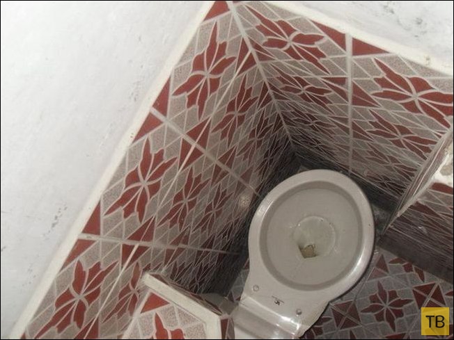 ������������ ������� (48 ����)