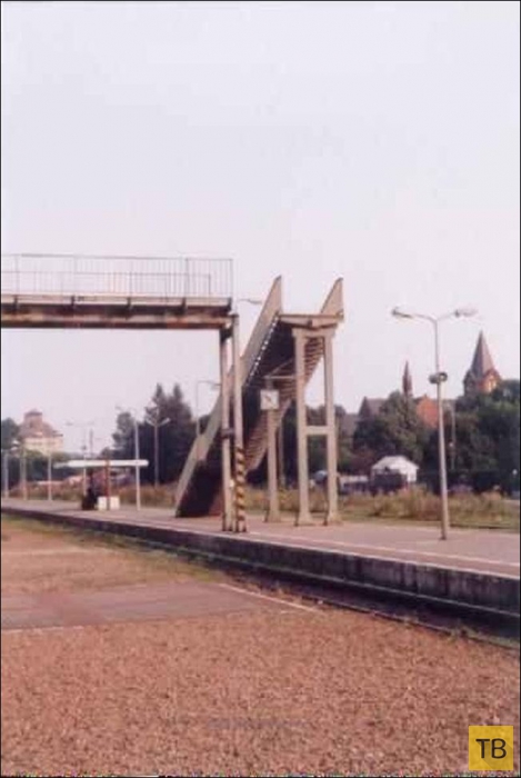 ������������ ������� (48 ����)