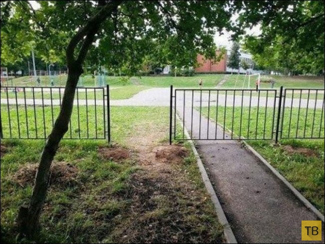 ������������ ������� (48 ����)