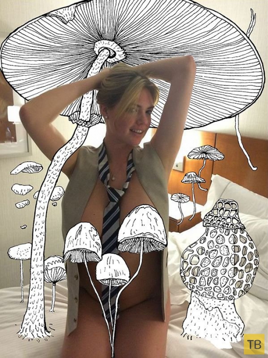 ������ ������� ����� ������������� ��� ����������� ��������� �� ������ (14 ����)