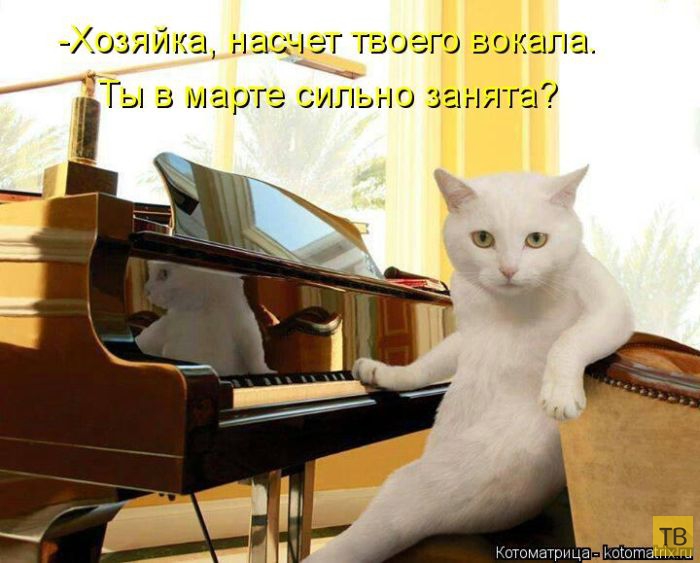 ���������� ����������� (49 ����)