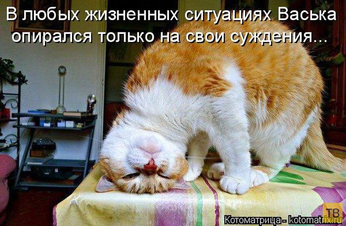 ���������� ����������� (49 ����)