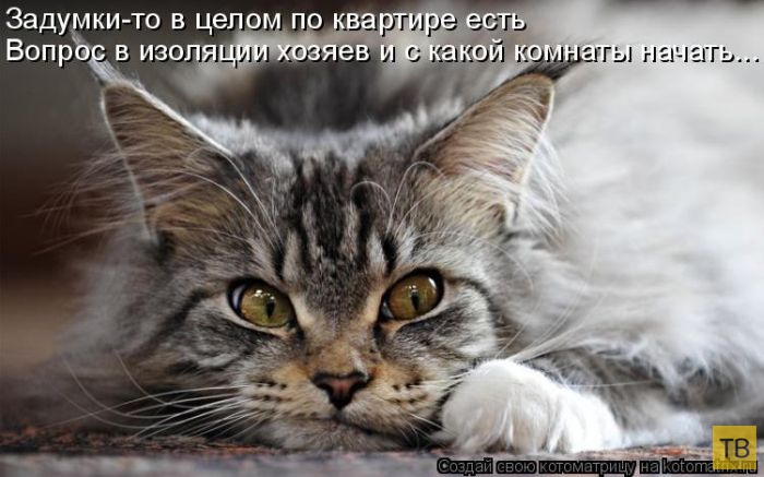 ���������� ����������� (49 ����)