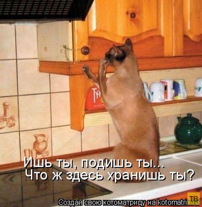 ���������� ����������� (49 ����)