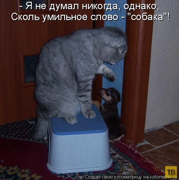 ���������� ����������� (49 ����)