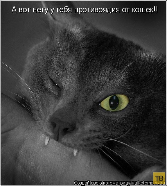 ���������� ����������� (49 ����)