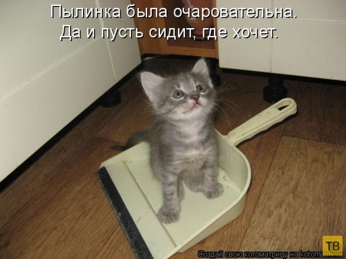 ���������� ����������� (49 ����)