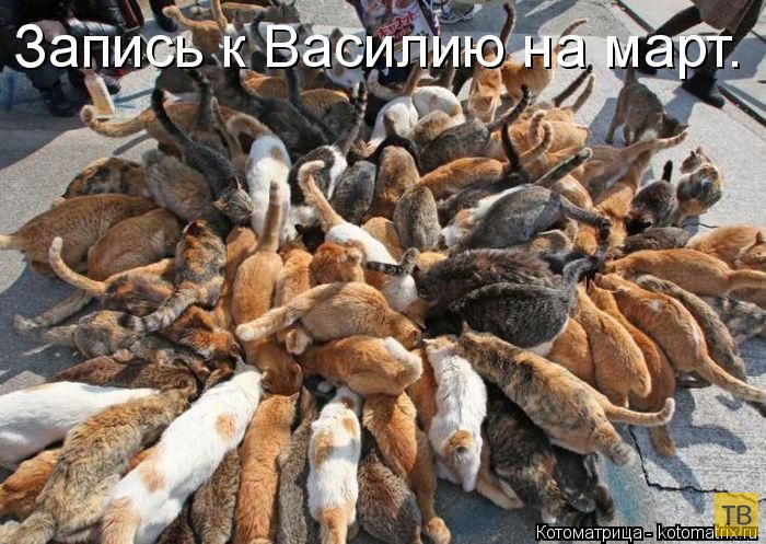 ���������� ����������� (49 ����)