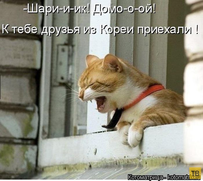 ���������� ����������� (49 ����)