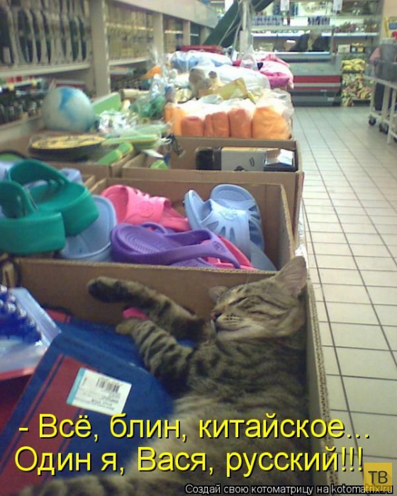 ���������� ����������� (49 ����)