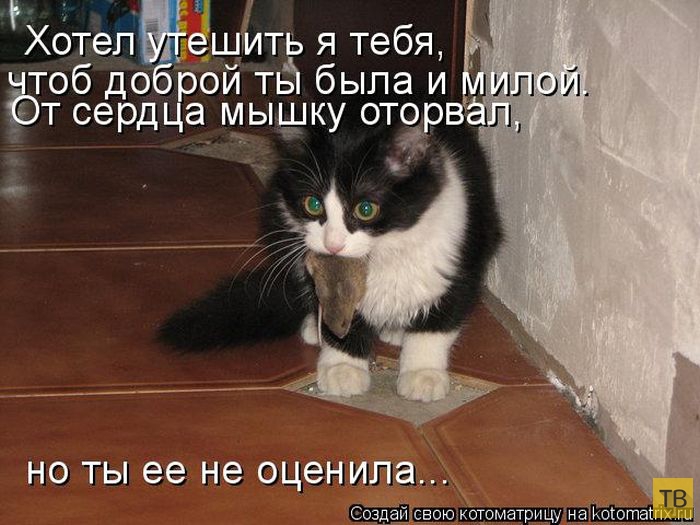 ���������� ����������� (49 ����)