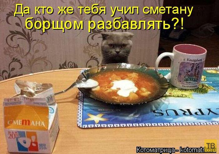 ���������� ����������� (49 ����)