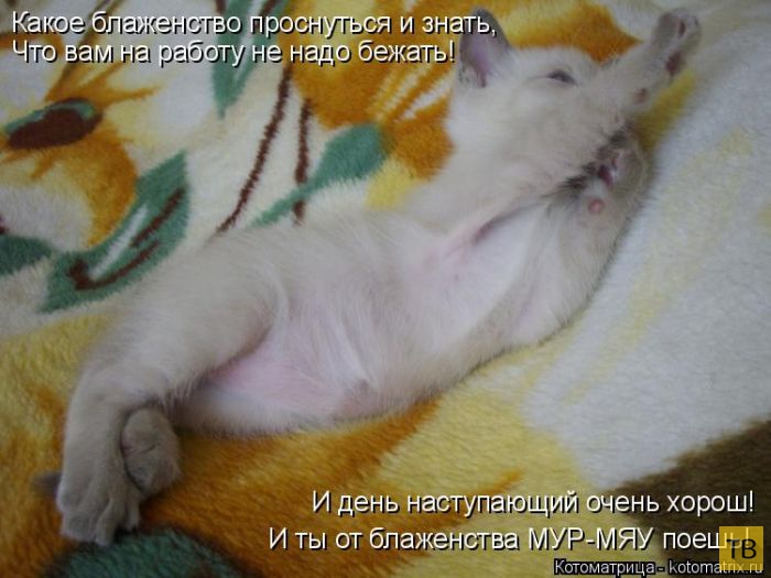 ���������� ����������� (49 ����)