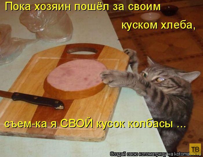 ���������� ����������� (49 ����)