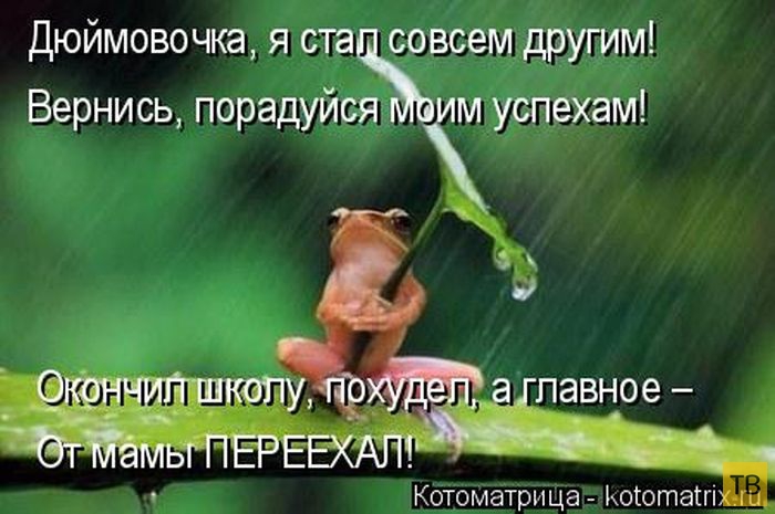 ���������� ����������� (49 ����)