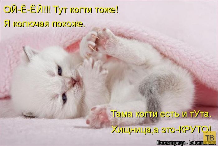 ���������� ����������� (49 ����)