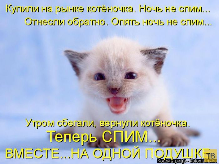 ���������� ����������� (49 ����)