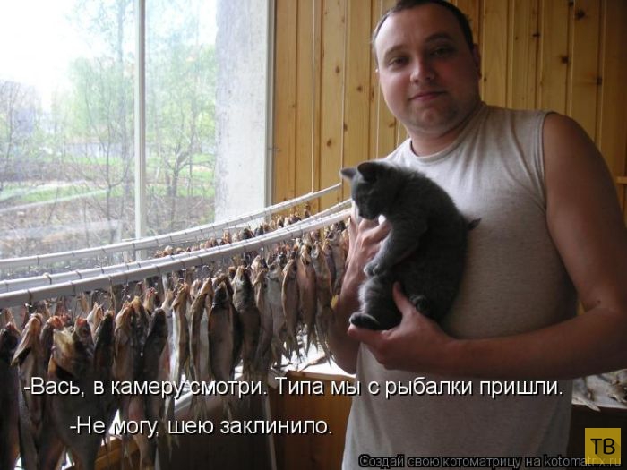 ���������� ����������� (49 ����)