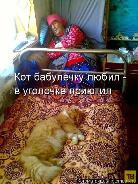 ���������� ����������� (49 ����)